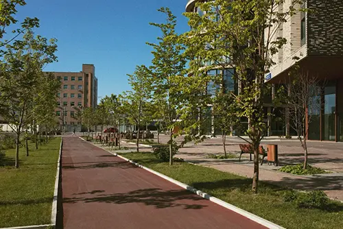 Проектирование городской среды