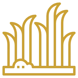 Здоровье сада