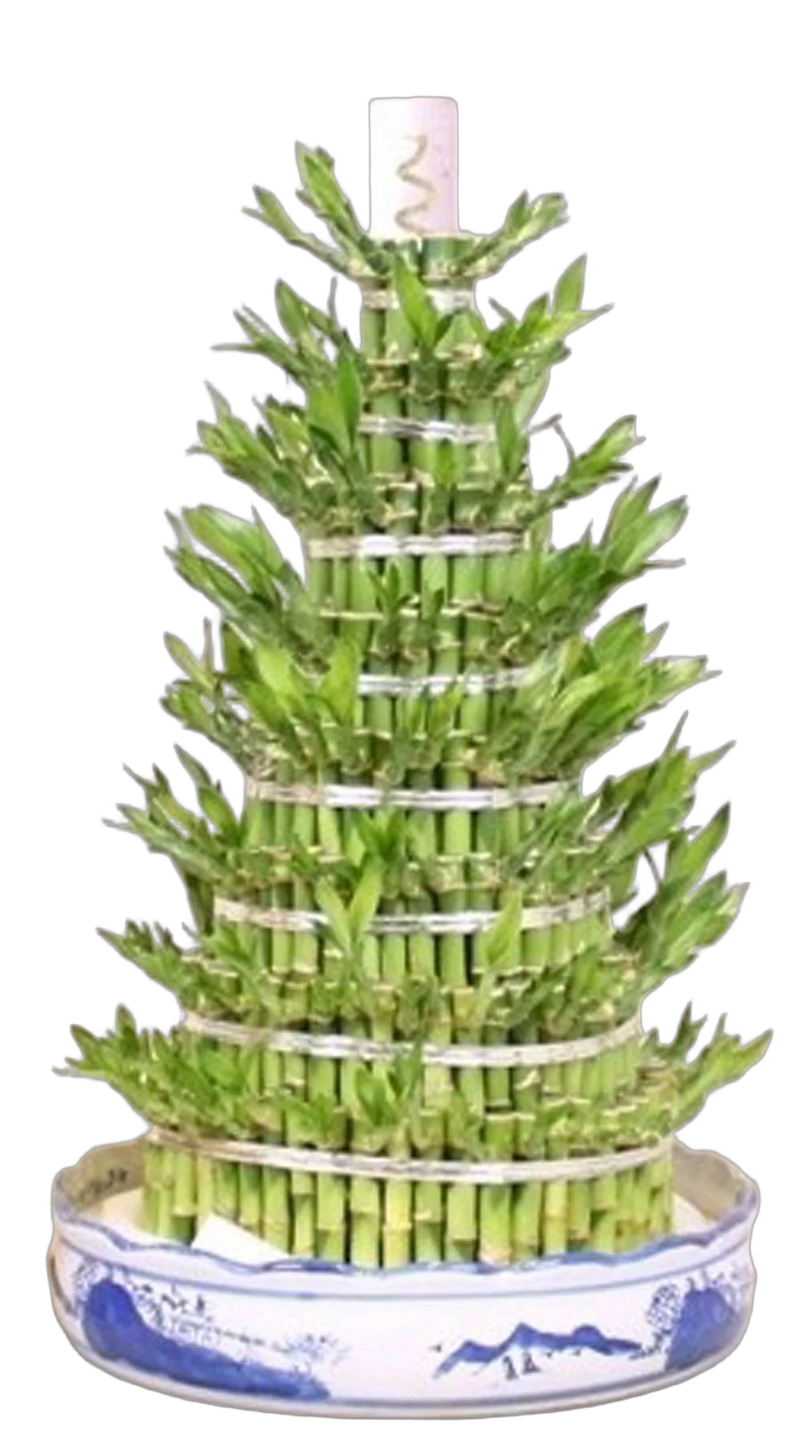 Бамбук